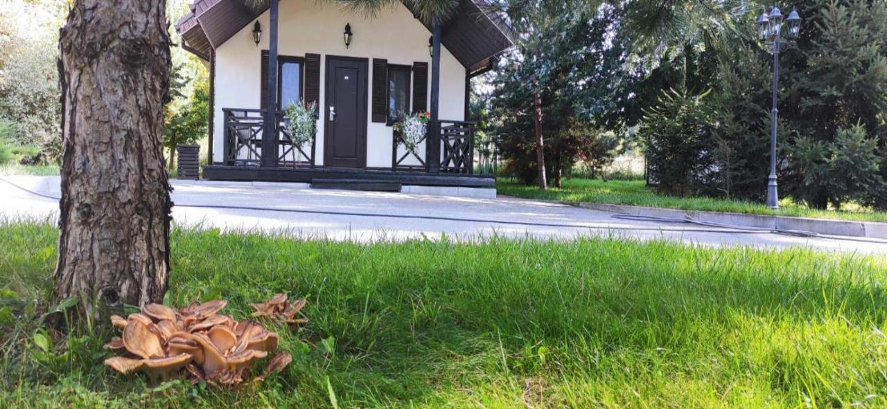 Park-Hotel Kidev Chubynske ภายนอก รูปภาพ